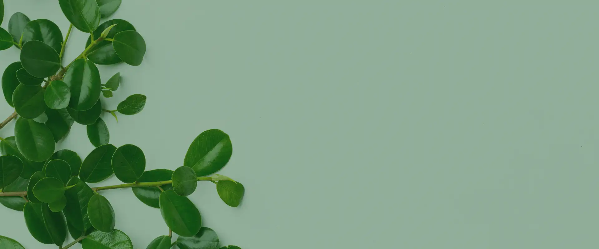 Hero banner Image